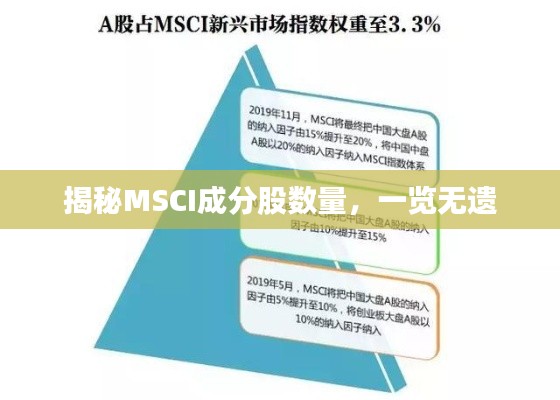 揭秘MSCI成分股数量，一览无遗
