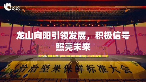龙山向阳引领发展，积极信号照亮未来