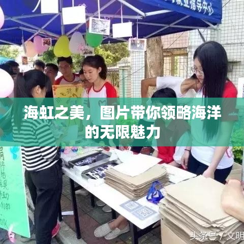 海虹之美，图片带你领略海洋的无限魅力