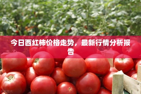 破衲疏羹 第2页
