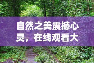 自然之美震撼心灵，在线观看大树最新视频