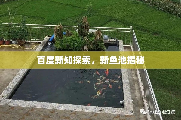 百度新知探索，新鱼池揭秘