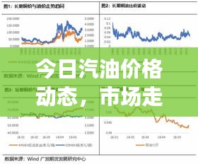 今日汽油价格动态，市场走势、影响因素深度解析