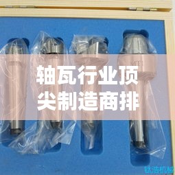 轴瓦行业顶尖制造商排名TOP 10，品质卓越之选！