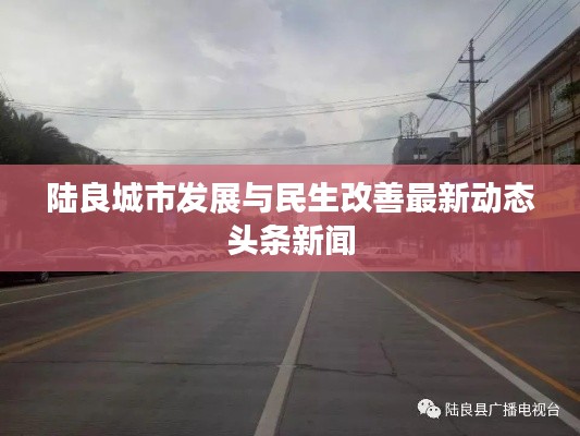 陆良城市发展与民生改善最新动态头条新闻