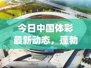 今日中国体彩最新动态，蓬勃发展与未来展望