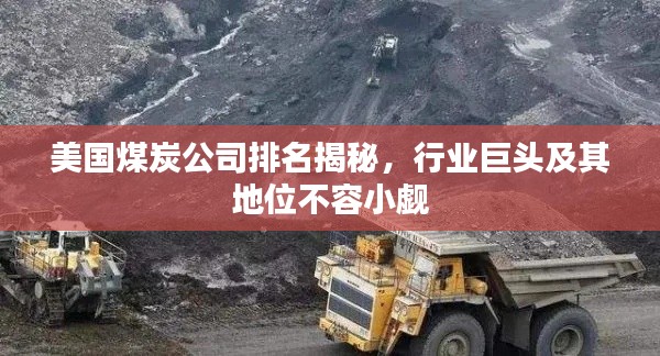 美国煤炭公司排名揭秘，行业巨头及其地位不容小觑