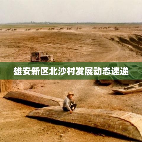 雄安新区北沙村发展动态速递