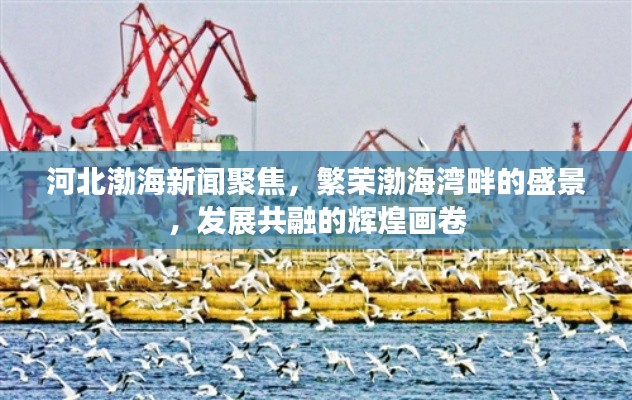 河北渤海新闻聚焦，繁荣渤海湾畔的盛景，发展共融的辉煌画卷