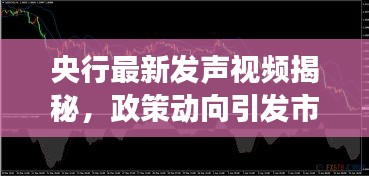 央行最新发声视频揭秘，政策动向引发市场热议