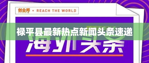 禄平县最新热点新闻头条速递