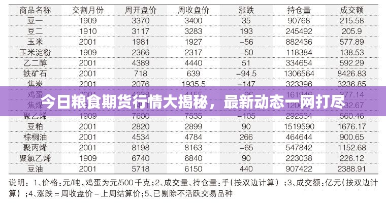 今日粮食期货行情大揭秘，最新动态一网打尽