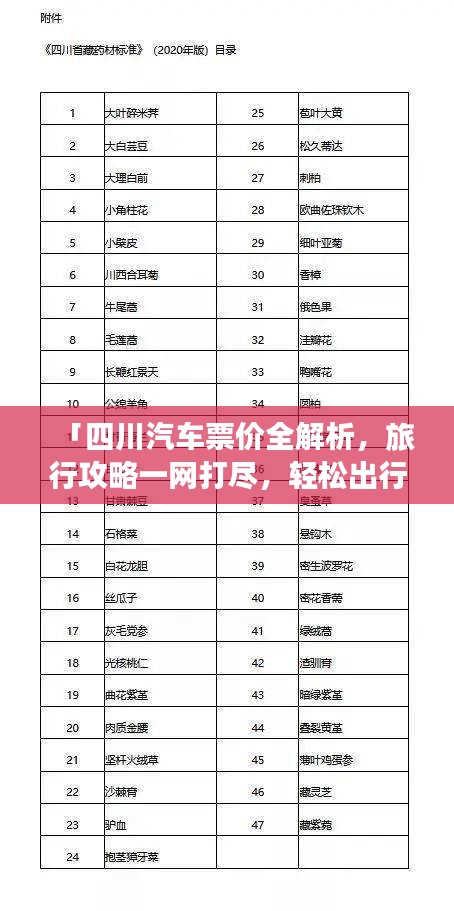「四川汽车票价全解析，旅行攻略一网打尽，轻松出行！」
