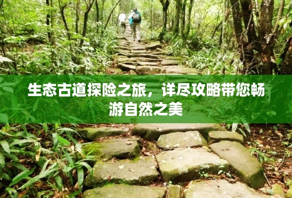 棒打出头鸟 第2页