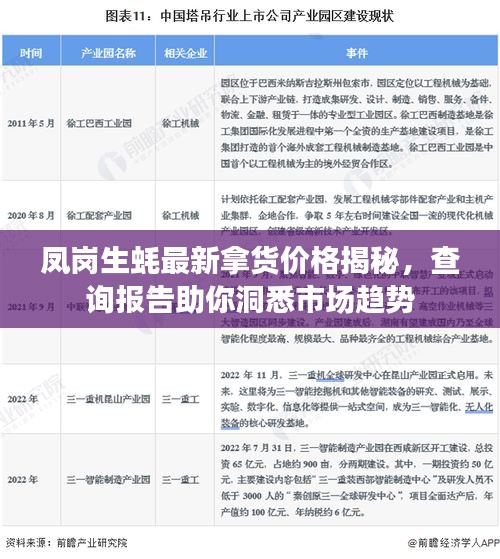 凤岗生蚝最新拿货价格揭秘，查询报告助你洞悉市场趋势