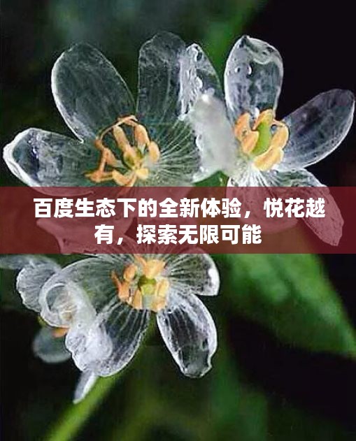 百度生态下的全新体验，悦花越有，探索无限可能