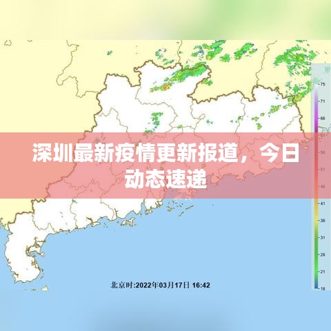 深圳最新疫情更新报道，今日动态速递
