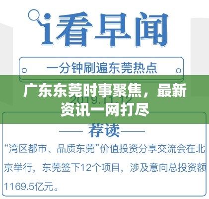 广东东莞时事聚焦，最新资讯一网打尽