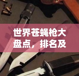世界苍蝇枪大盘点，排名及特色全解析