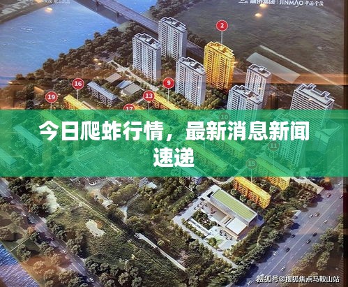 今日爬蚱行情，最新消息新闻速递
