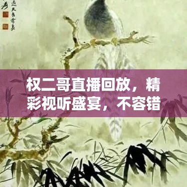 权二哥直播回放，精彩视听盛宴，不容错过！