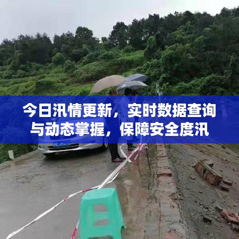 今日汛情更新，实时数据查询与动态掌握，保障安全度汛