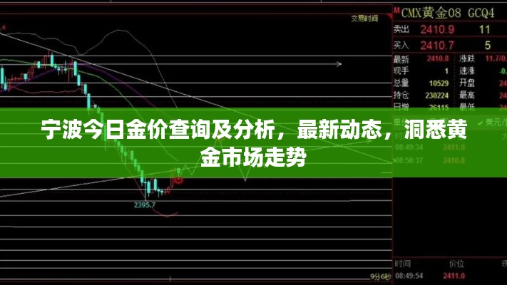 宁波今日金价查询及分析，最新动态，洞悉黄金市场走势