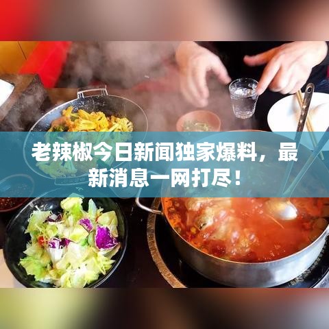 老辣椒今日新闻独家爆料，最新消息一网打尽！