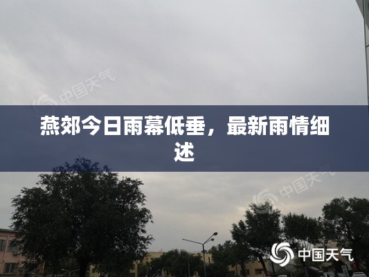 燕郊今日雨幕低垂，最新雨情细述