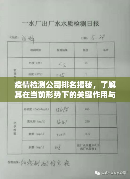 疫情检测公司排名揭秘，了解其在当前形势下的关键作用与价值