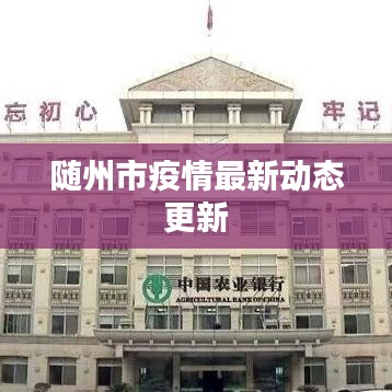 随州市疫情最新动态更新