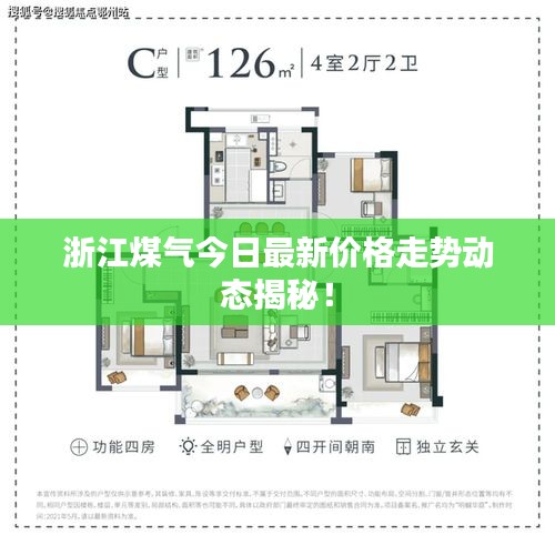 衣不重彩 第2页