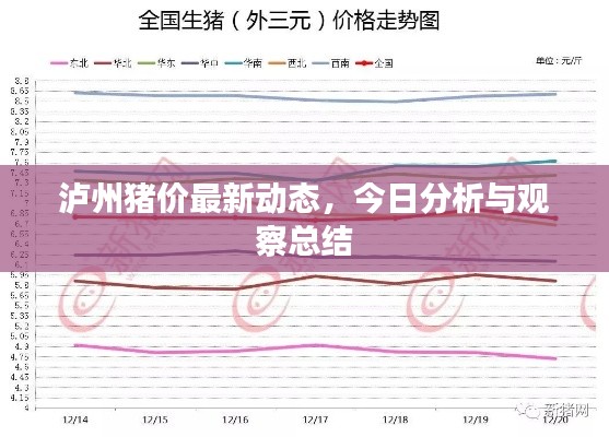 泸州猪价最新动态，今日分析与观察总结