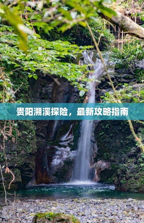人前显贵 第2页