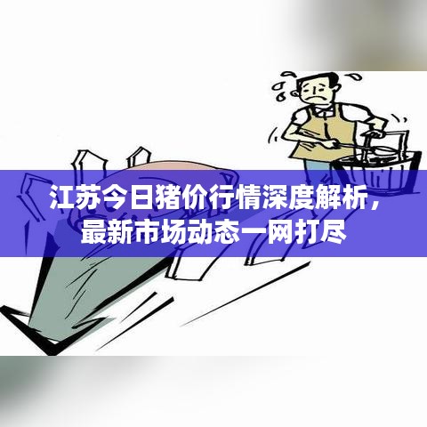 江苏今日猪价行情深度解析，最新市场动态一网打尽