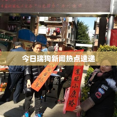 今日瑞狗新闻热点速递