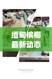 缅甸槟榔最新动态速递