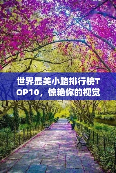 世界最美小路排行榜TOP10，惊艳你的视觉！