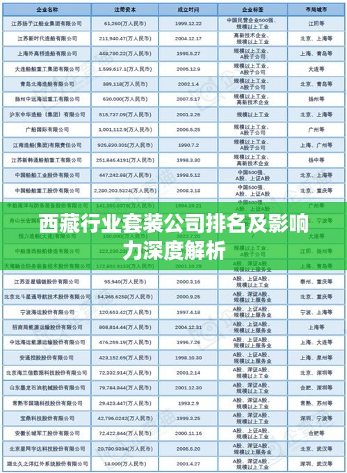 西藏行业套装公司排名及影响力深度解析