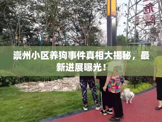 崇州小区养狗事件真相大揭秘，最新进展曝光！