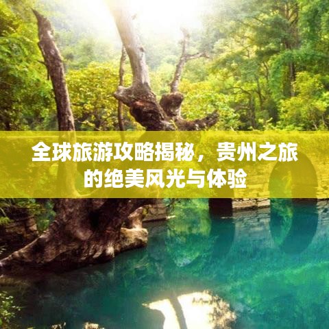 全球旅游攻略揭秘，贵州之旅的绝美风光与体验