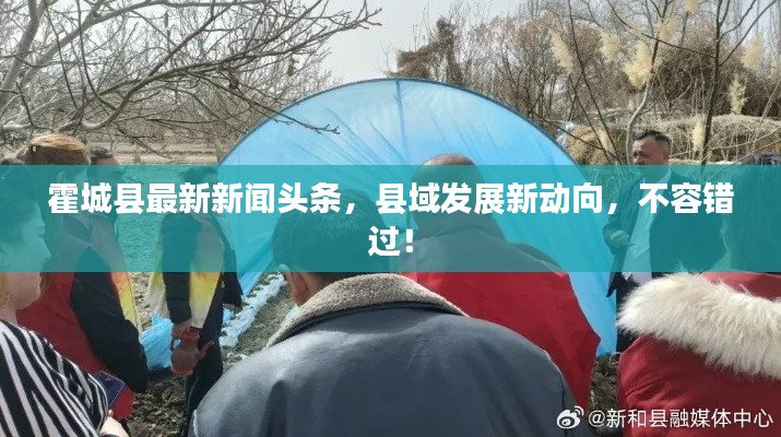 虫蚀鸟步 第2页