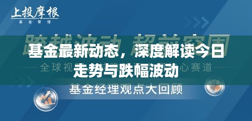 基金最新动态，深度解读今日走势与跌幅波动