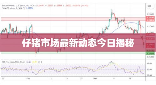 仔猪市场最新动态今日揭秘