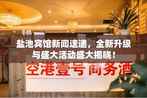 盐池宾馆新闻速递，全新升级与盛大活动盛大揭晓！