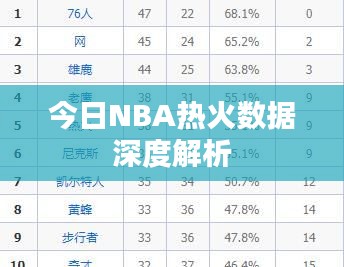 今日NBA热火数据深度解析