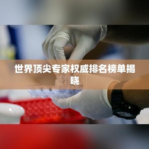世界顶尖专家权威排名榜单揭晓