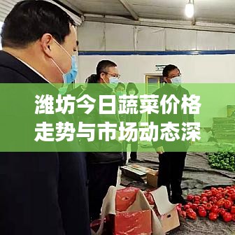 潍坊今日蔬菜价格走势与市场动态深度解析