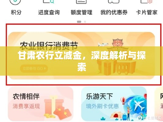 甘肃农行立减金，深度解析与探索