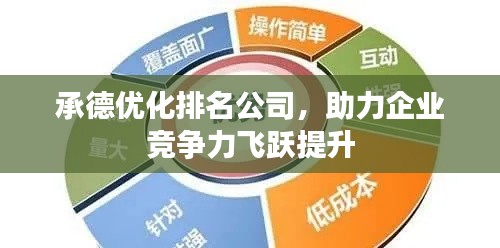 承德优化排名公司，助力企业竞争力飞跃提升